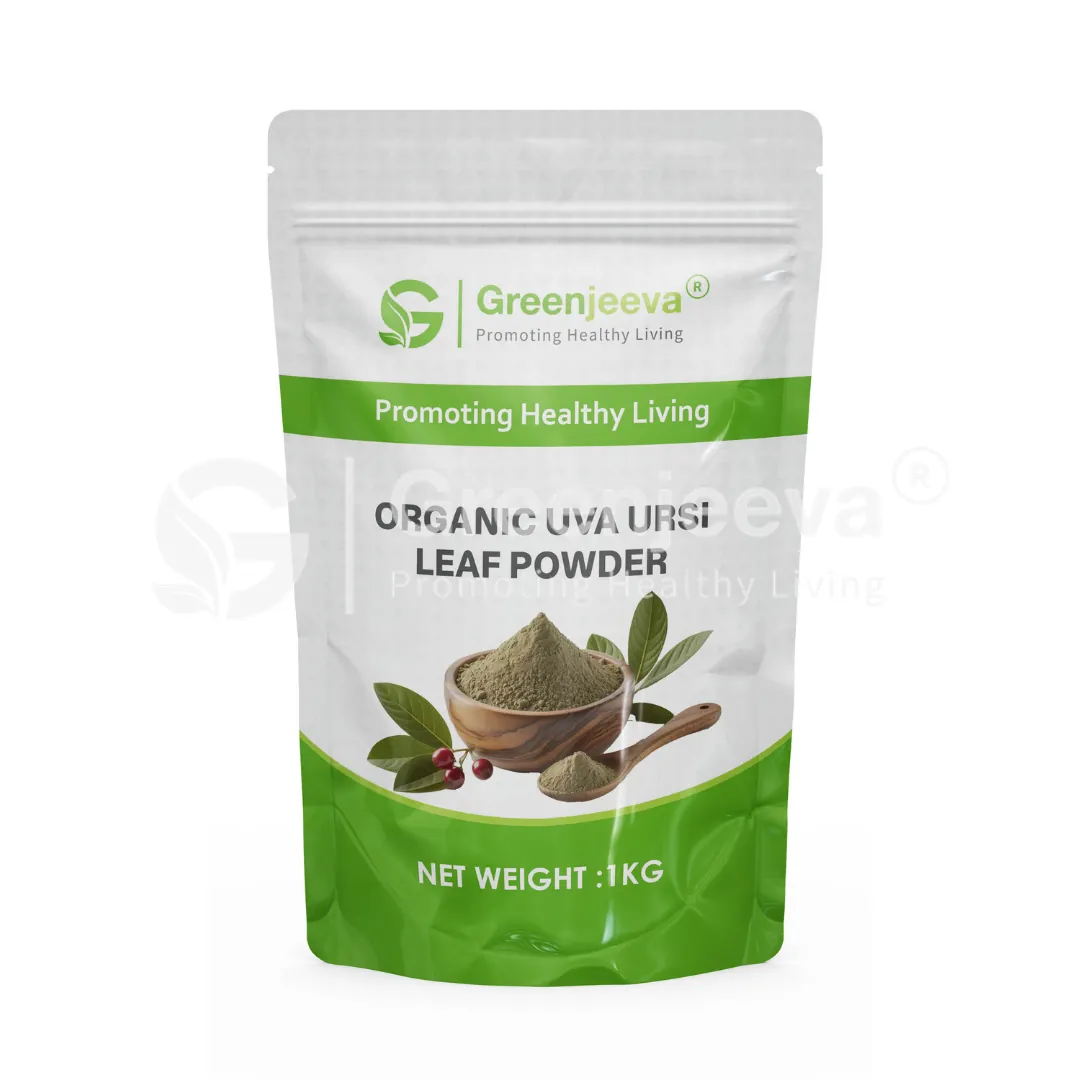 Organic Uva Ursi Leaf Powder Pouch Organic Uva Ursi Leaf Powder Pouch